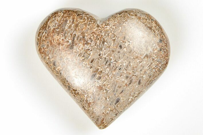 2.1" Polished Dinosaur Bone (Gembone) Heart - Morocco